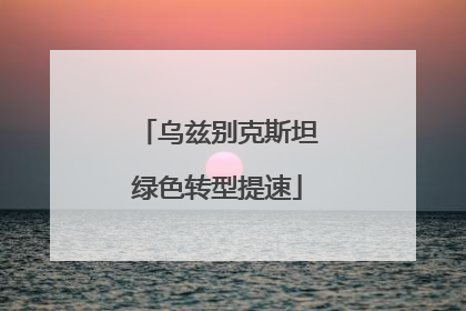 乌兹别克斯坦绿色转型提速