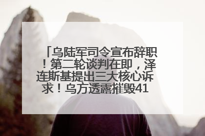 乌陆军司令宣布辞职！第二轮谈判在即，泽连斯基提出三大核心诉求！乌方透露摧毁41架俄战略轰炸机