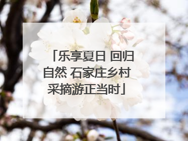 乐享夏日 回归自然 石家庄乡村采摘游正当时