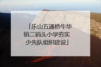 乐山五通桥牛华镇二码头小学夯实少先队组织建设