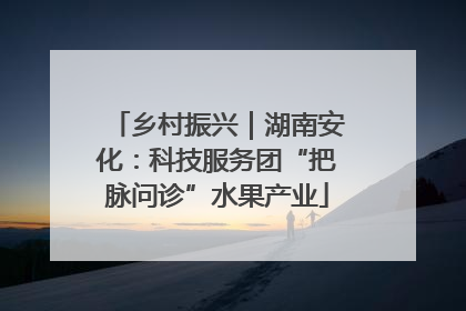 乡村振兴｜湖南安化：科技服务团“把脉问诊”水果产业