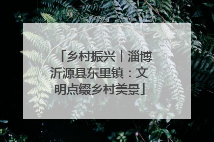 乡村振兴︱淄博沂源县东里镇：文明点缀乡村美景