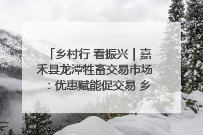 乡村行 看振兴｜嘉禾县龙潭牲畜交易市场：优惠赋能促交易 乡村振兴添动能