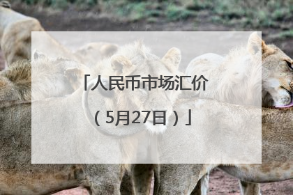 人民币市场汇价（5月27日）