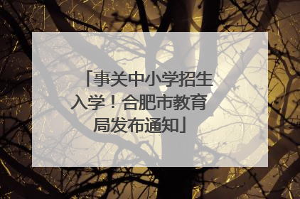 事关中小学招生入学！合肥市教育局发布通知