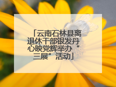 云南石林县离退休干部银发丹心映党辉举办“三展”活动