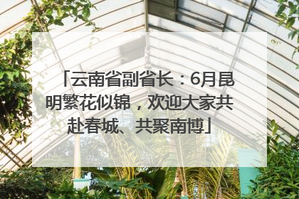 云南省副省长：6月昆明繁花似锦，欢迎大家共赴春城、共聚南博