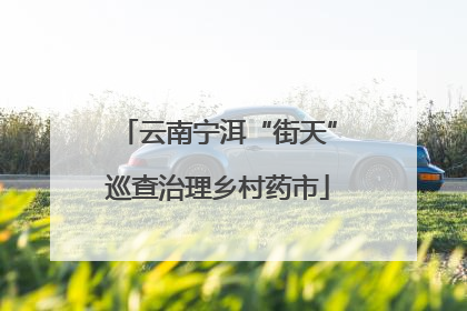 云南宁洱“街天”巡查治理乡村药市