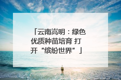 云南嵩明：绿色优质种苗培育 打开“缤纷世界”
