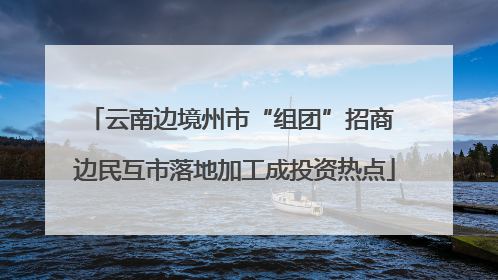 云南边境州市“组团”招商 边民互市落地加工成投资热点