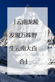 云南龙陵发现万株野生云南大百合