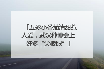 五彩小番茄清甜惹人爱，武汉种博会上好多“尖板眼”