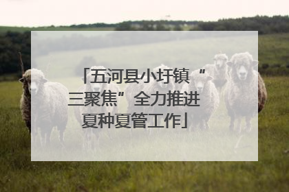 五河县小圩镇“三聚焦”全力推进夏种夏管工作