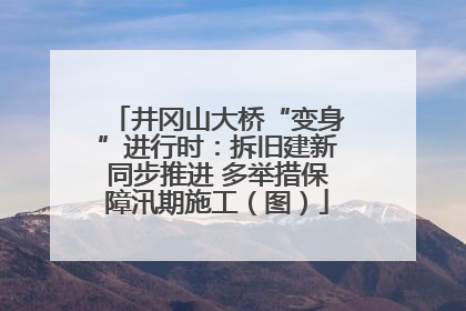 井冈山大桥“变身”进行时：拆旧建新同步推进 多举措保障汛期施工（图）