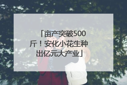 亩产突破500斤！安化小花生种出亿元大产业