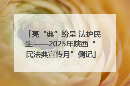亮“典”纷呈 法护民生——2025年陕西“民法典宣传月”侧记