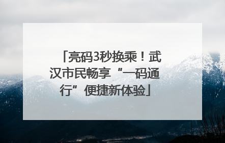 亮码3秒换乘！武汉市民畅享“一码通行”便捷新体验