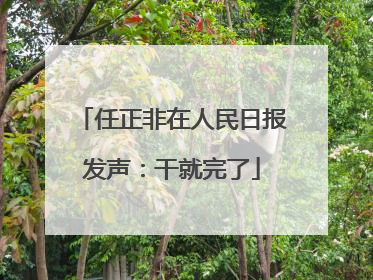 任正非在人民日报发声：干就完了