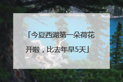 今夏西湖第一朵荷花开啦，比去年早5天