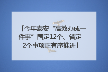 今年泰安“高效办成一件事”国定12个、省定2个事项正有序推进