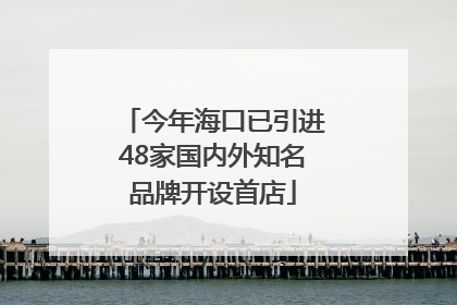 今年海口已引进48家国内外知名品牌开设首店