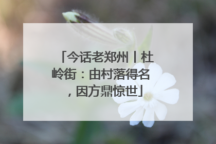 今话老郑州丨杜岭街：由村落得名，因方鼎惊世