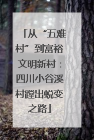 从“五难村”到富裕文明新村：四川小谷溪村蹚出蜕变之路