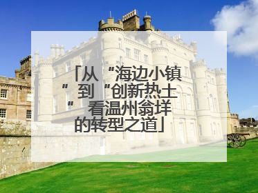 从“海边小镇”到“创新热土” 看温州翁垟的转型之道