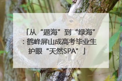 从“题海”到“绿海”：鹤峰屏山成高考毕业生护眼“天然SPA”