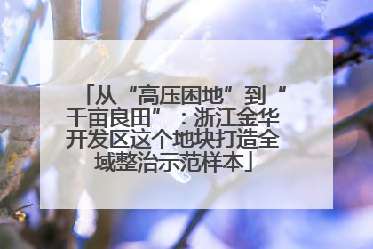 从“高压困地”到“千亩良田”：浙江金华开发区这个地块打造全域整治示范样本