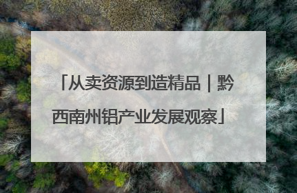 从卖资源到造精品｜黔西南州铝产业发展观察