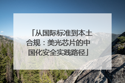 从国际标准到本土合规：美光芯片的中国化安全实践路径