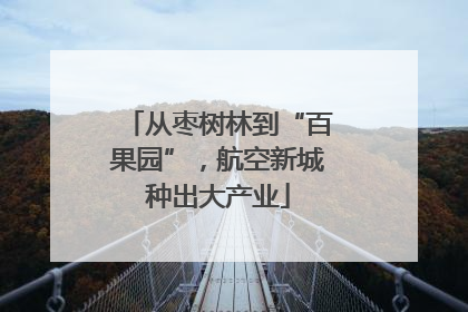 从枣树林到“百果园”，航空新城种出大产业