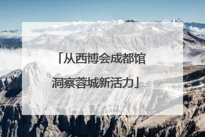 从西博会成都馆洞察蓉城新活力