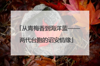从青梅香到海洋蓝——两代台胞的诏安情缘