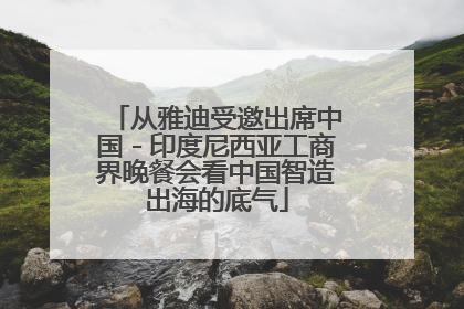 从雅迪受邀出席中国－印度尼西亚工商界晚餐会看中国智造出海的底气
