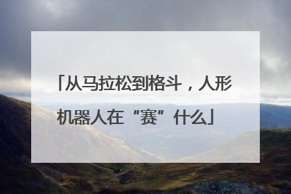 从马拉松到格斗，人形机器人在“赛”什么