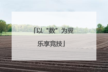 以“数”为翼 乐享竞技