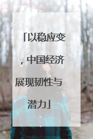 以稳应变，中国经济展现韧性与潜力