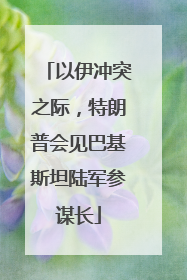 以伊冲突之际，特朗普会见巴基斯坦陆军参谋长