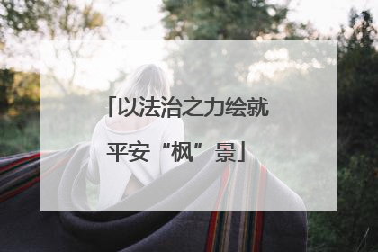 以法治之力绘就平安“枫”景