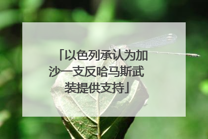 以色列承认为加沙一支反哈马斯武装提供支持