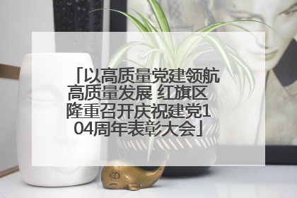 以高质量党建领航高质量发展 红旗区隆重召开庆祝建党104周年表彰大会