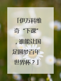 伊万科维奇“下课”，谁能让国足圆梦百年世界杯？