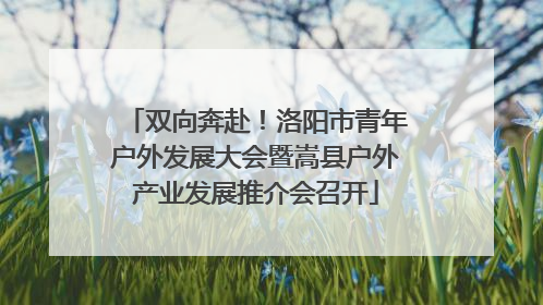 双向奔赴！洛阳市青年户外发展大会暨嵩县户外产业发展推介会召开