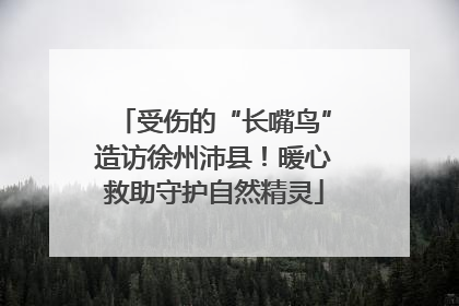 受伤的“长嘴鸟”造访徐州沛县！暖心救助守护自然精灵