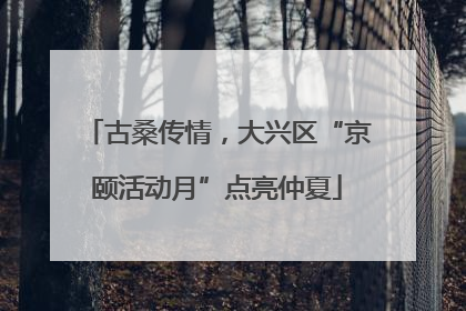 古桑传情，大兴区“京颐活动月”点亮仲夏