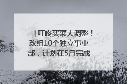 叮咚买菜大调整！改组10个独立事业部，计划在5月完成App端全面改版