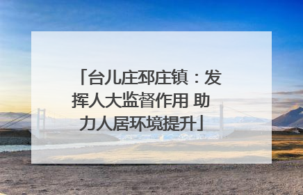 台儿庄邳庄镇：发挥人大监督作用 助力人居环境提升