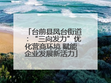 台前县凤台街道：“三向发力”优化营商环境 赋能企业发展新活力
